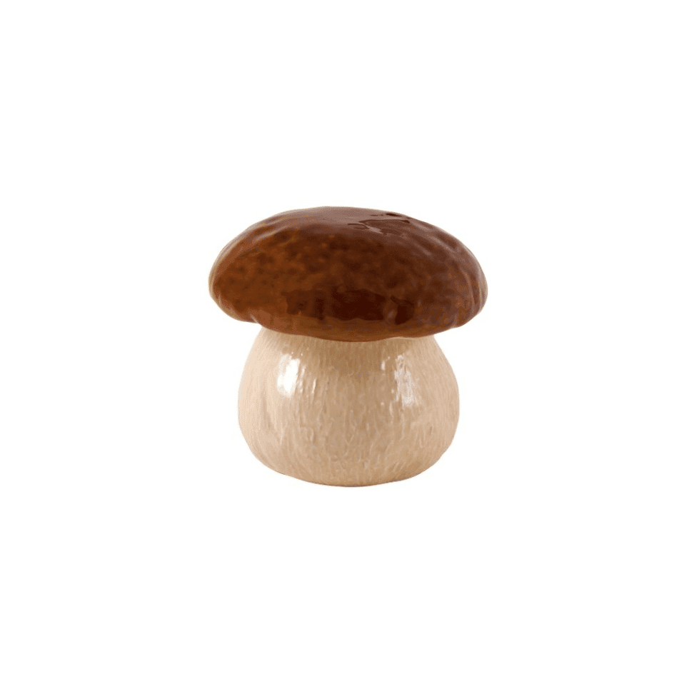 MUSHROOM MEDIUM BOX