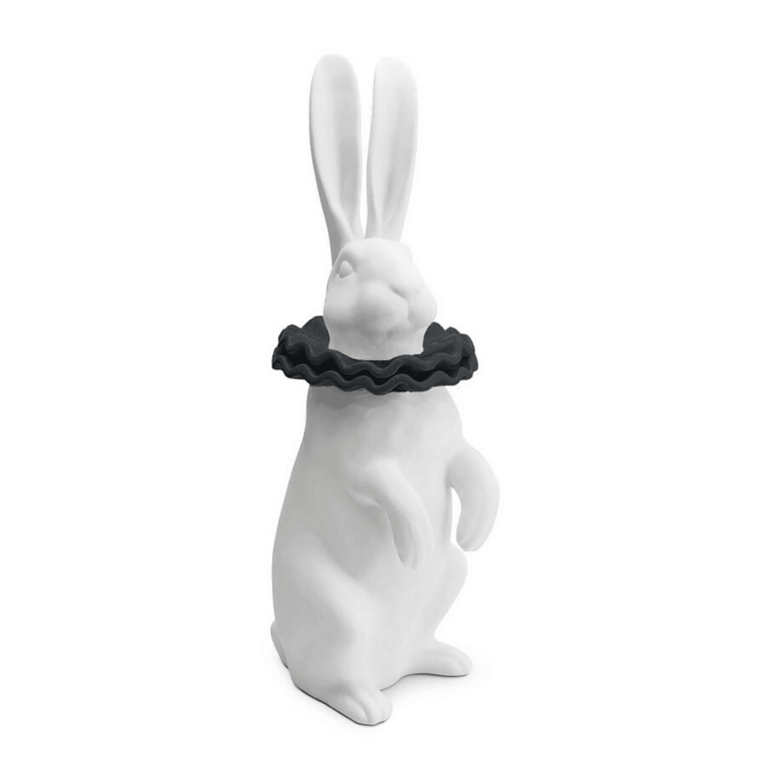 RABBIT WITH BLACK COLLAR